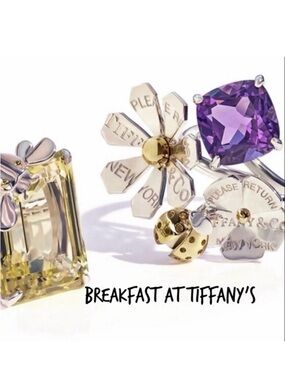 ✨🌸Meet the Posher🌸✨